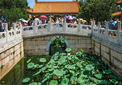 公务员考试报名费多少？详解费用构成与影响因素