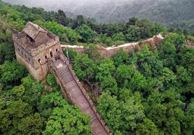 中央公务员怎么样？全面解析其优势与发展前景