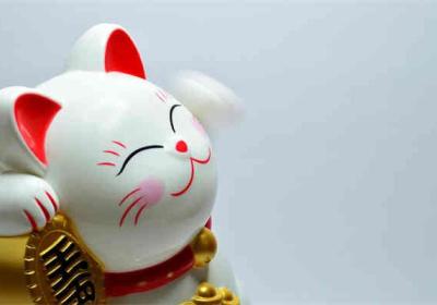 怎么看公务员缴费人数？深入解析公务员考试报名趋势