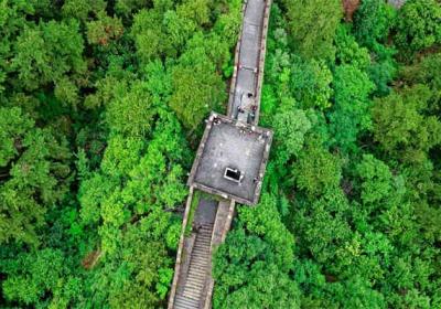 打造美丽乡村：策略与实践指南