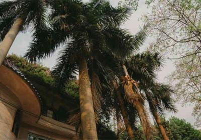 县级法院公务员：职业前景与发展路径解析