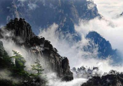 乡镇公务员职业解析：稳定与发展并存