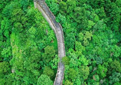 启东住房补贴政策解析：助力人才安居乐业
