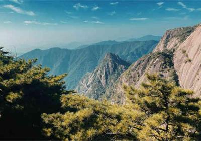 掌握二建考试技巧，轻松迈向职业巅峰