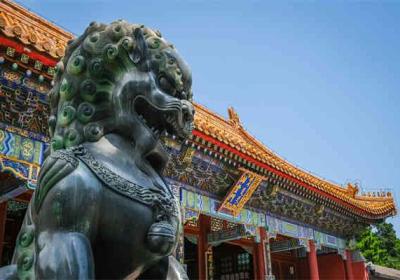 探究小学二年级课文《画杨桃》背后的教育意义