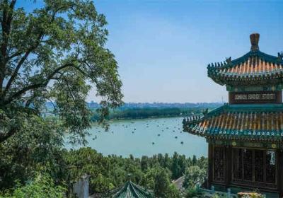 探秘高效学习工具：智能搜题软件的优势与使用技巧