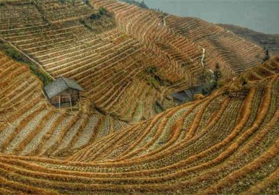 松山湖文化艺术街区：文化与创新的交汇之地