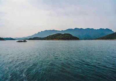 本科人力资源管理师，人力资源管理专业就业前景