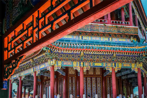 大白申论哪里买
