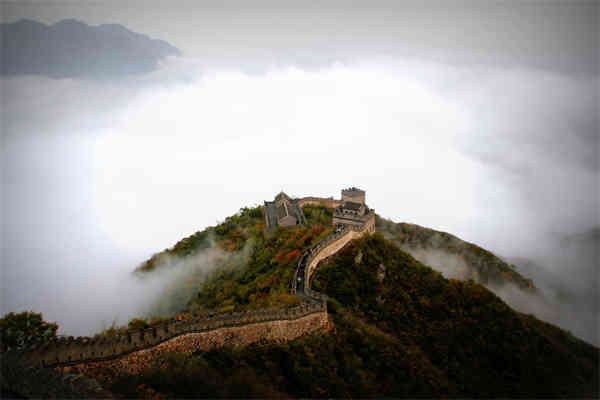 公务员是什么制
