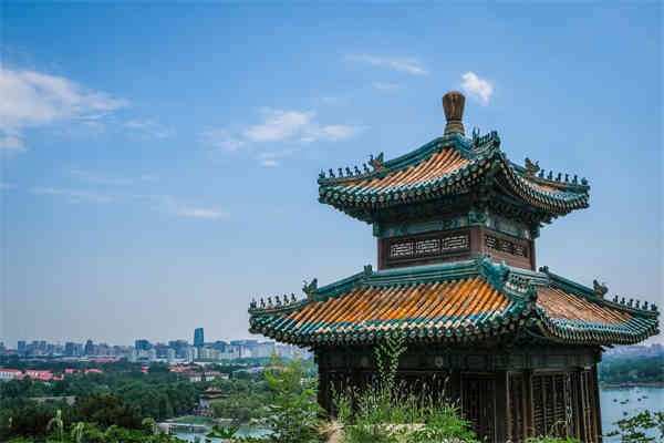 公务员都需要哪些