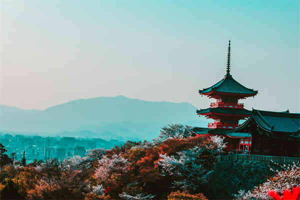 如何查询消防国考成绩