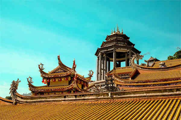 空乘专业政审
