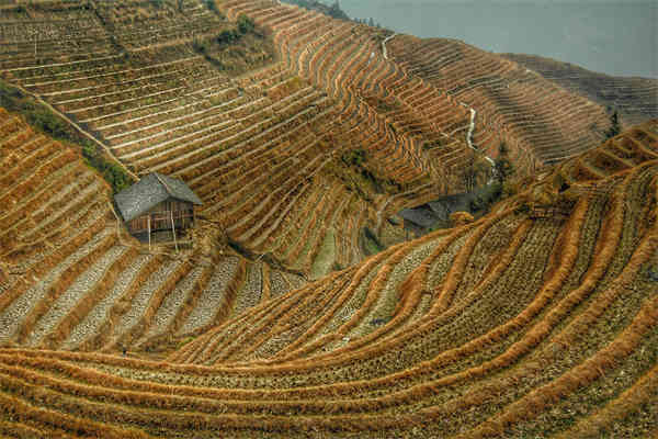松山湖文化艺术街区