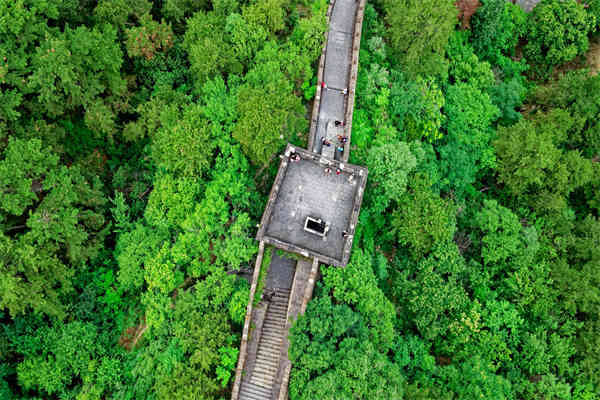 尹上岗