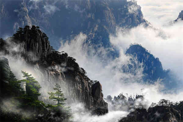 综合基本知识考什么