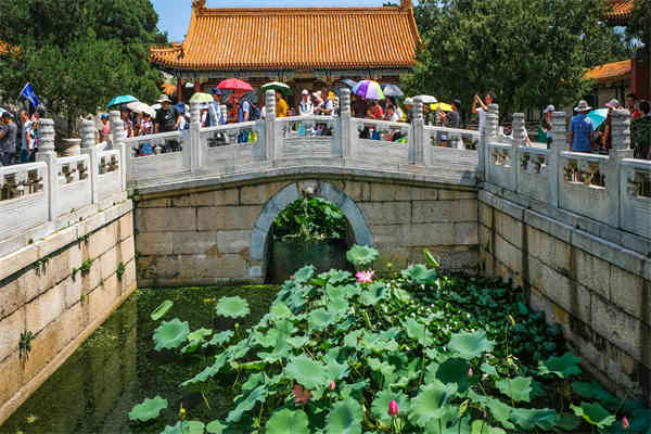 我对自己的职业规划