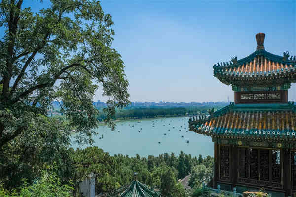 职业发展期望简短