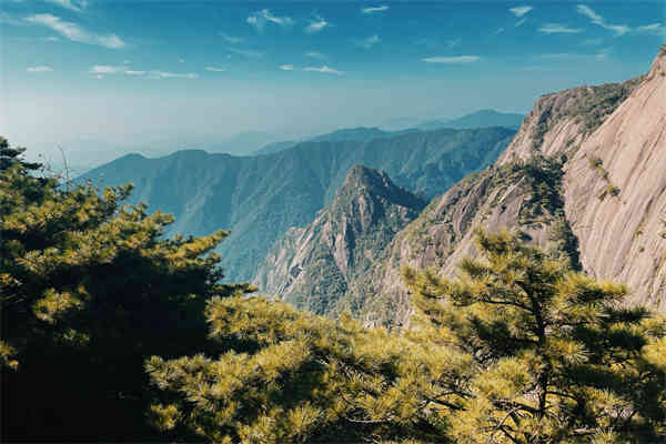 什么是职业生涯